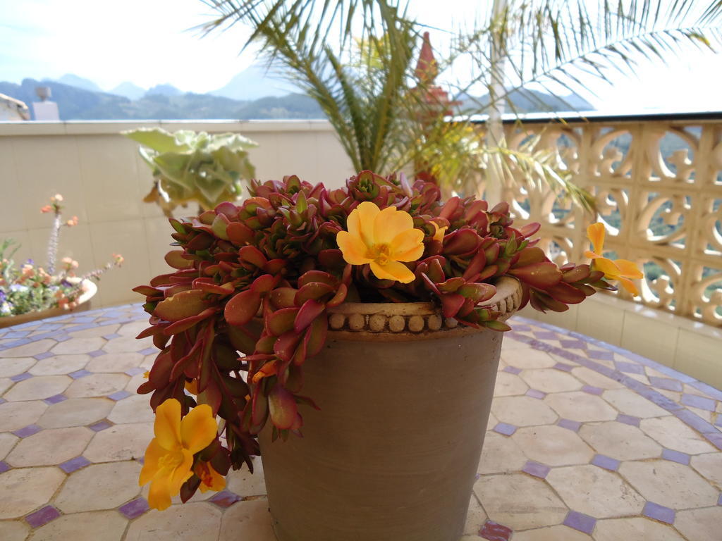 Villa Pico - Charming B&B Sella Exterior photo